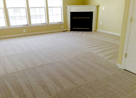 Homefresh - Carpet and Upholstery Cleaning